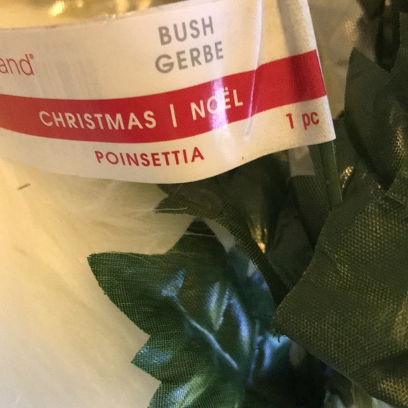 Bundle of 14 Champagne and silver Poinsettia bush. Almost new condition - Picture 8 of 11